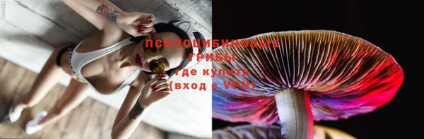 ПСИЛОЦИБИНОВЫЕ ГРИБЫ Нефтекумск