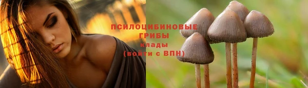 ГАЛЛЮЦИНОГЕННЫЕ ГРИБЫ Нея