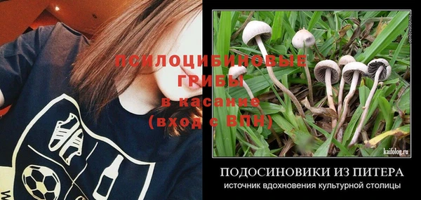 ГАЛЛЮЦИНОГЕННЫЕ ГРИБЫ Нея