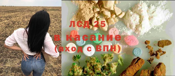 ГАЛЛЮЦИНОГЕННЫЕ ГРИБЫ Нея