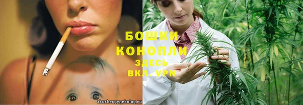 ГАЛЛЮЦИНОГЕННЫЕ ГРИБЫ Нея