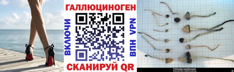 Купить закладки  Ухта  Галлюциногенные грибы мухоморы 